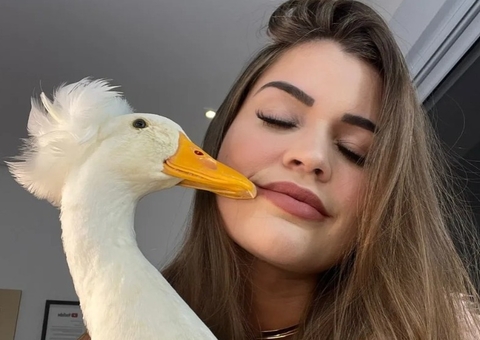 Influenciadora que tem pato desaparecido adota nova ave