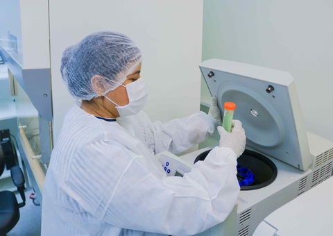 Estudo no Amazonas investiga planta com poder anticancerígeno para tratar leucemias