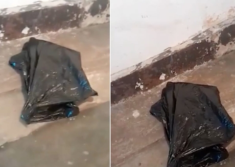 Poodle de 6 anos é levado para fazer tosa e volta para casa morto em saco de lixo