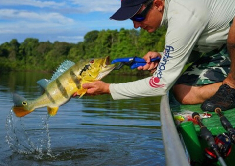 Não podemos deixar que uma reforma afete a Pesca Esportiva