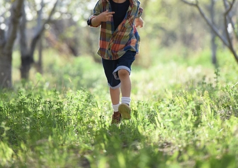 Infectologista ensina como prevenir a febre maculosa em crianças