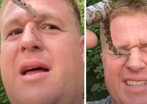 Influencer é picado por cobra mais de 50 vezes; vídeo impressionante