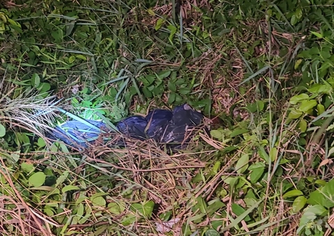 Enrolado em lona, corpo é encontrado em área de mata na AM-070