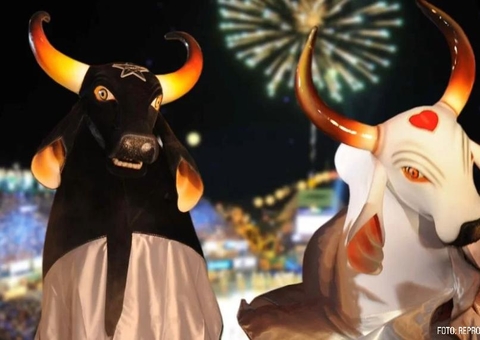 Parintins: a cidade onde tudo funcionou, menos a apuração do Festival