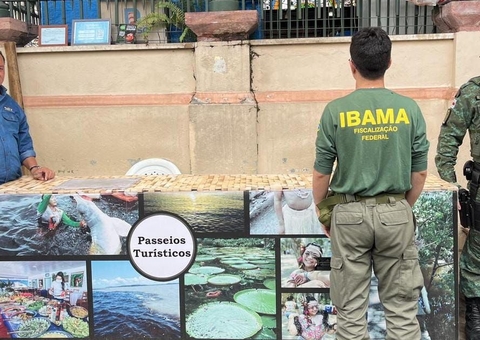 IBAMA notifica hotéis e agências de turismo por uso irregular de imagens de animais silvestres