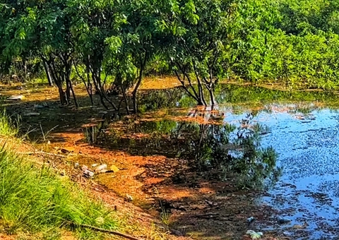 Populares encontram homem morto boiando perto da Ponte Rio Negro em Manaus