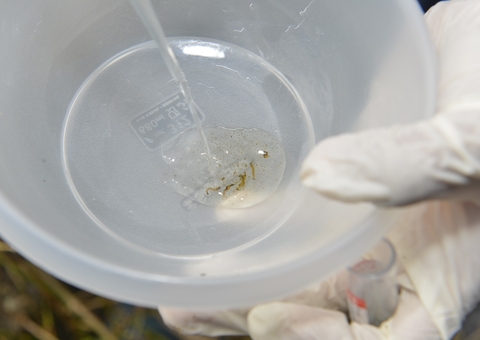 Vazante dos rios no Amazonas aumenta risco de hepatite e malária; veja como prevenir