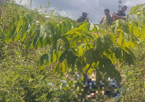 Homem é encontrado morto em matagal no Viver Melhor em Manaus