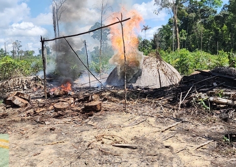 Fornos ilegais de fabricação de carvão são destruídos na AM-010