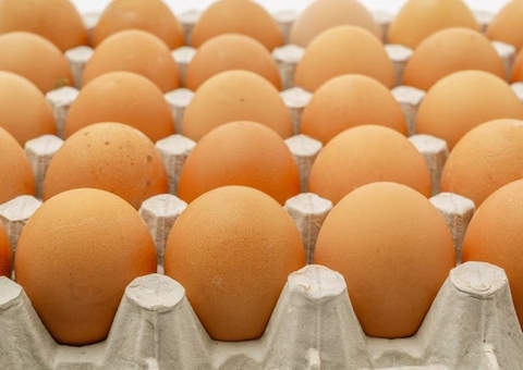 Em 1 ano, preço do ovo sobe mais de 20%, conforme IBGE