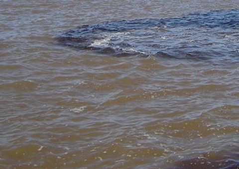 Justiça mantém condenação de empresa que lançou óleo no Rio Solimões