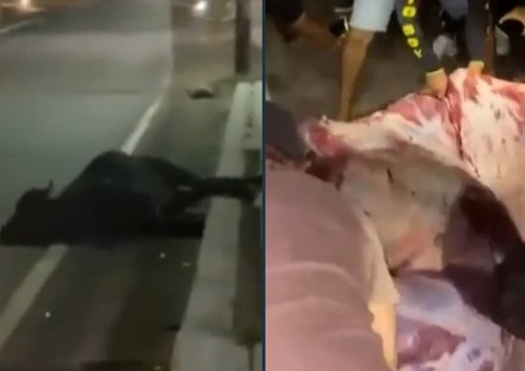 Boi morre atropelado e tem carne retalhada por moradores em rodovia