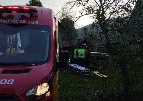 Avó é atingida por árvore ao tentar salvar neto