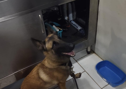 Drogas avaliadas em R$ 65 mil são encontradas em carro de buffet no Amazonas