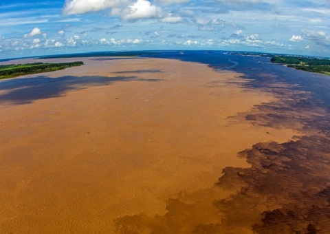 Amazonas é destaque em campanha na Times Square nos EUA