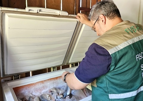 FVS realiza monitoramento de saúde durante Festa do Cupuaçu, no Amazonas