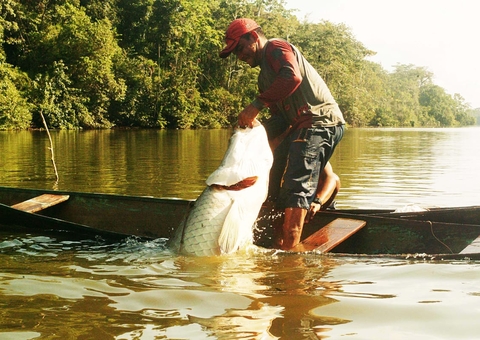 Inscrições do subsídio a pescadores do Amazonas terminam segunda