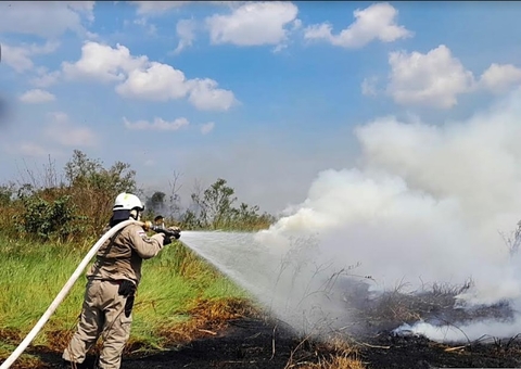 Amazonas registra redução de 32% nos focos de calor em agosto