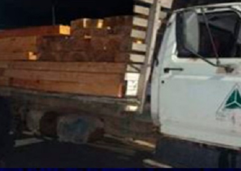 Idoso é preso ao transportar madeira ilegal no Amazonas