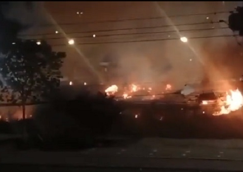 Fogos de artifício causam incêndio em área de mata no Prosamim em Manaus
