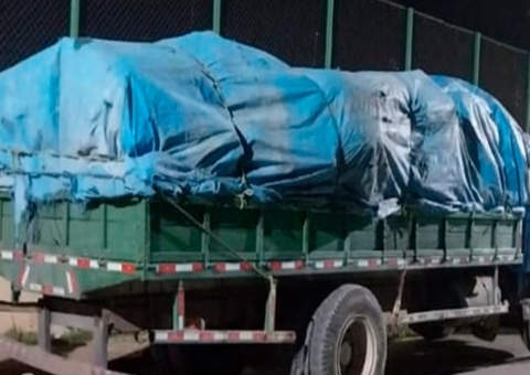 Dupla é presa ao transportar carvão ilegal no Amazonas