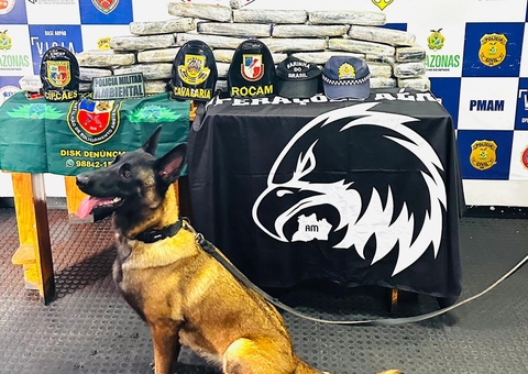 Drogas avaliadas em R$800 mil são apreendidas em saco escondido em banheiro de barco no Amazonas