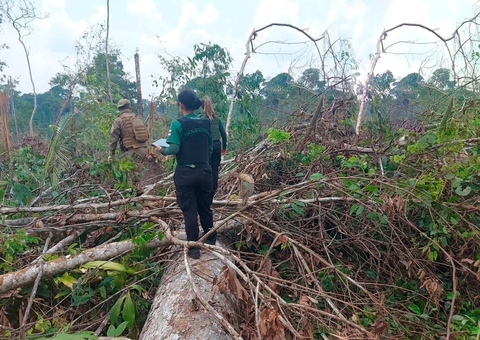 Operação gera mais de R$ 76 milhões em multas por crimes ambientais no Amazonas