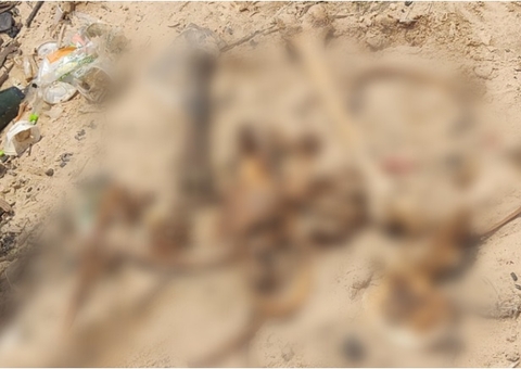 Ossada humana é encontrada na Manaus Moderna