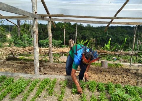 Agricultores indígenas são convocados para fornecer alimentos às escolas do Amazonas