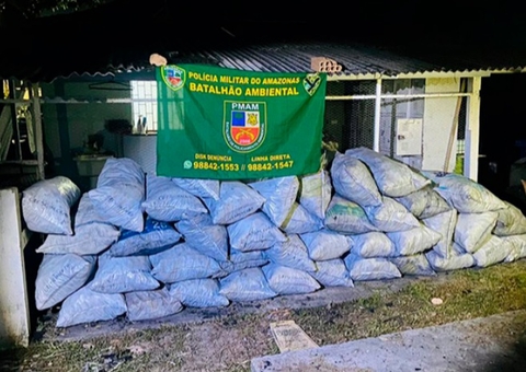 Motorista é preso ao transportar 40 sacos de carvão na AM-010