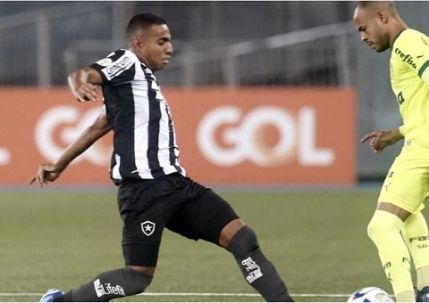 Palmeiras vira jogo nos minutos finais e vence Botafogo pelo Brasileirão
