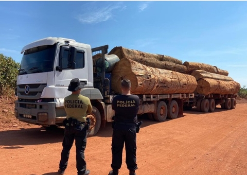 PF apreende caminhão com madeira ilegal extraída de terra indígena