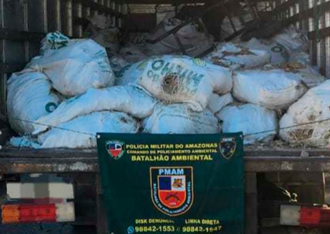 Caminhão baú usado para despejar entulhos em igarapé é apreendido em Manaus