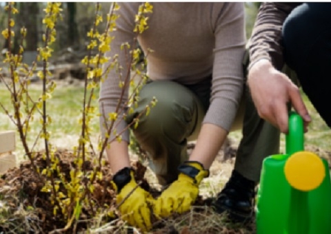 UEA prorroga até sexta as inscrições para 'Colônia de Férias' em Manaus