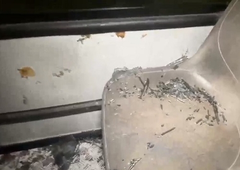 Criminosos atiram em ônibus e ameaçam esfaquear passageiros em Manaus