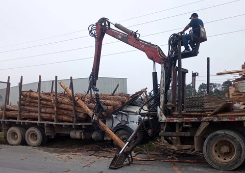 Trabalhador morre esmagado por tora de madeira durante carregamento