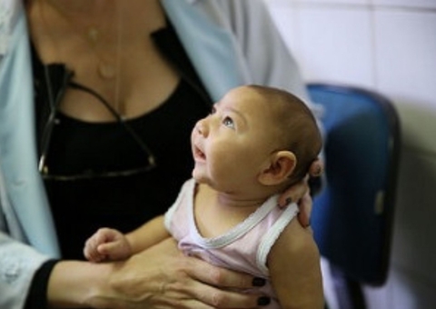 Estudo sobre zika vírus aponta queda no nascimento de bebês com microcefalia