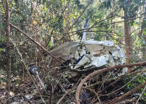 Pai e filho morrem em acidente de avião em floresta 