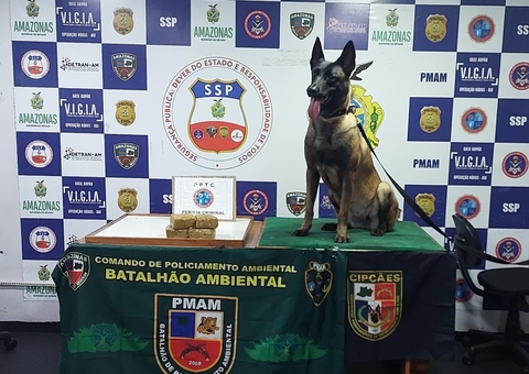 Tripulante e passageiro de barco são presos com cocaína avaliada em R$ 62 mil no Amazonas