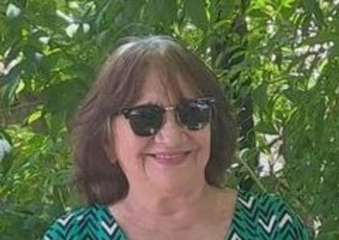 O barulho sobre Flávio Dino