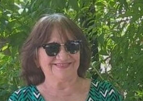 SOBRE A “CENSURA PRÉVIA” AO PORTAL DO HOLANDA