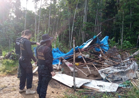 Operação da PF supervisiona Parque Nacional no Amazonas para evitar crimes ambientais