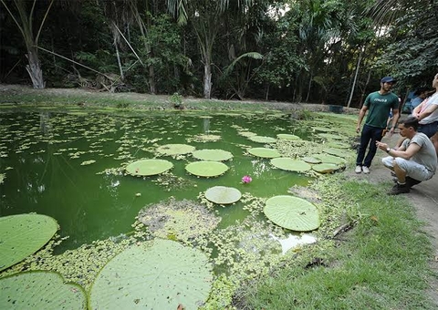 MUSA recebe selo 'Travellers' Choice 2023'