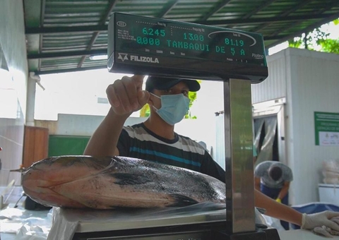 Feira do tambaqui tem pescado a partir de R$ 10 neste fim de semana em Manaus