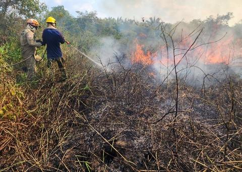 Em mais de um mês, 160 focos de incêndio são combatidos no sul do Amazonas