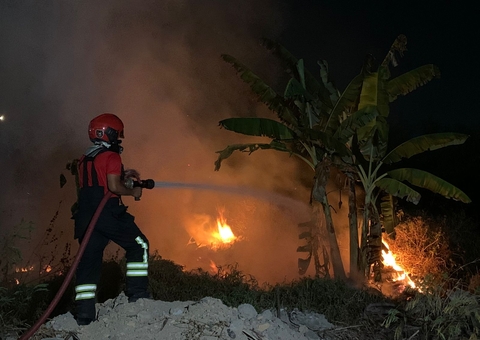 Incêndio se espalha em terreno ao lado de garagem de ônibus em Manaus; vídeos
