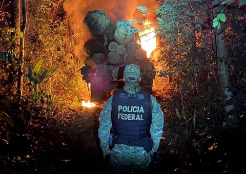 PF deflagra operação contra desmatamento em terra indígena na divisa do Amazonas