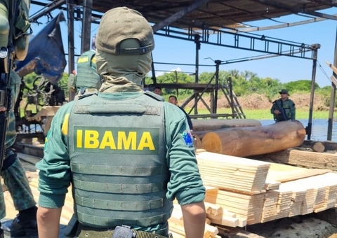 Serrarias são multadas em R$ 100 mil durante fiscalização do Ibama no Amazonas