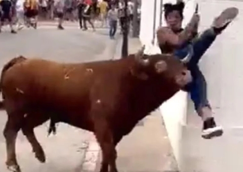 ‘Distraída’, ativista de direito dos animais é brutalmente atacada por touro; vídeo chocante