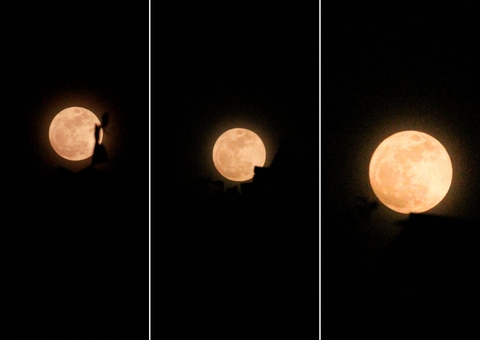 Em dia de ‘Superlua Azul’, poucos conseguem observar fenômeno em Manaus; veja fotos